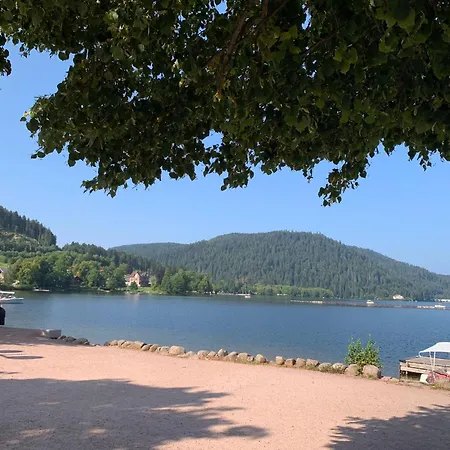 Les Cimes - Apartmán Le Tholy