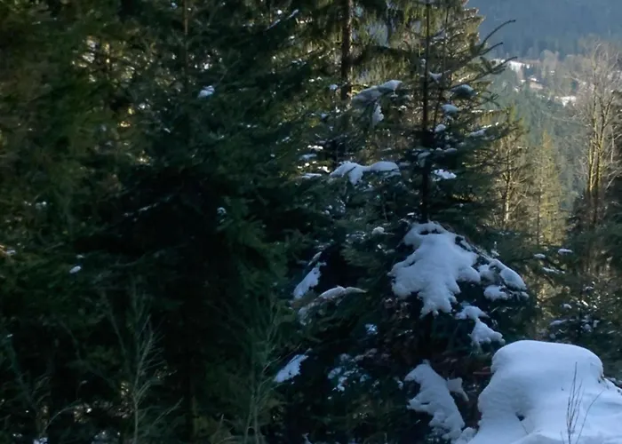 Les Cimes - Apartmán