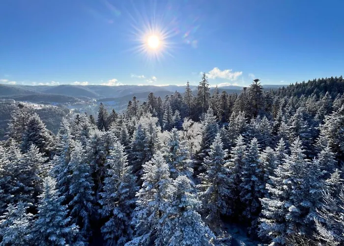 Les Cimes - Apartmán