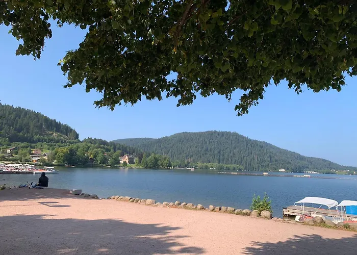 Les Cimes - Apartmán Le Tholy