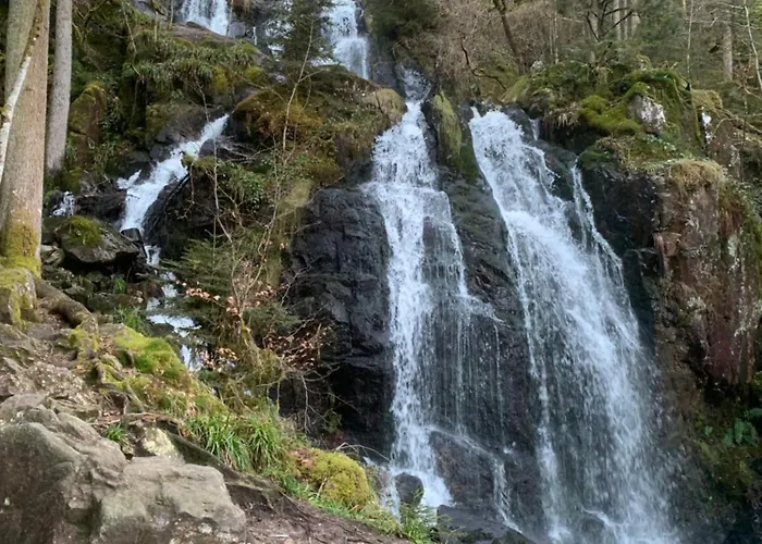 Apartmán Les Cimes - Le Tholy